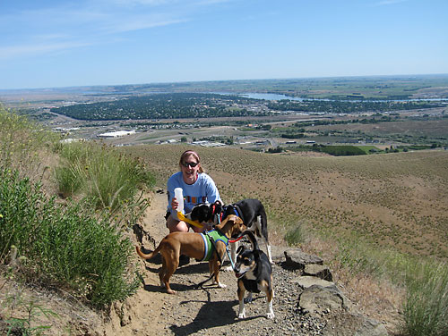 About 3/4 of the way up Badger Mountain.