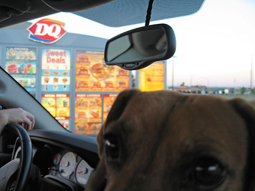 Even Maebe got to go for DQ