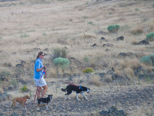 I'm the cute one in the middle.  I don't think the houndies had much fun on the hiking part.