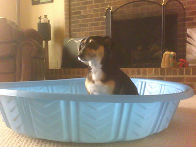 Sitting in a plastic pool without any water in the family room is not as much fun as you'd think.